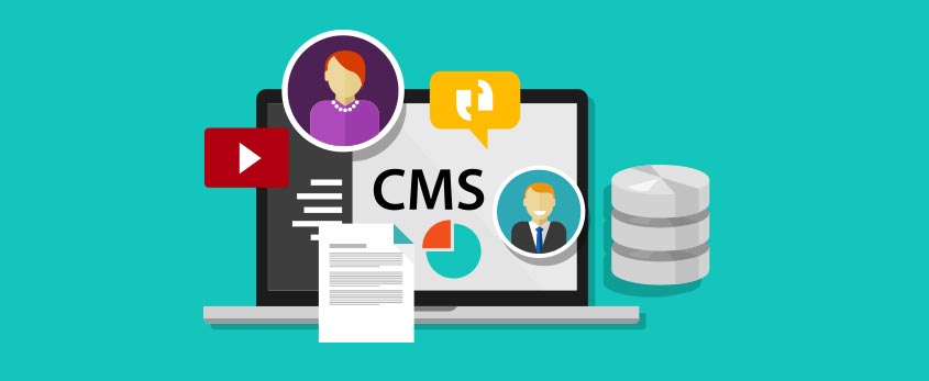 CMS Based Website Development Company in Noida, Delhi NCR